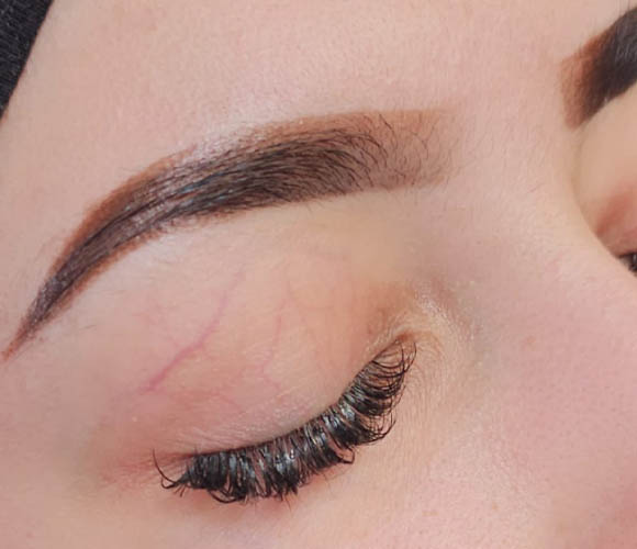 Permanent Make-up, Waxing, Microblading, Augenbrauen, Wipmern, Lidstrich, Lippen, Haare, Narben, Gesicht, dauerhaften kosmetischen T&auml;towierungen